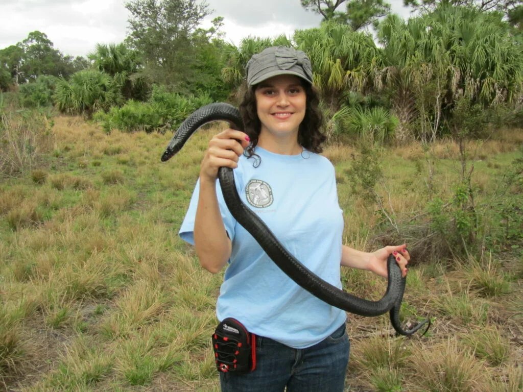 Eastern Indigo Snake