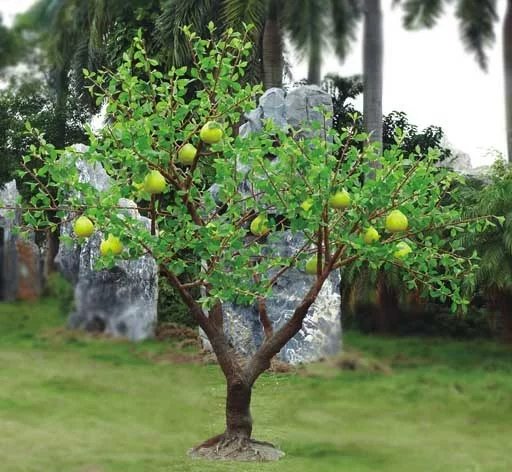 poisonous plants for pets