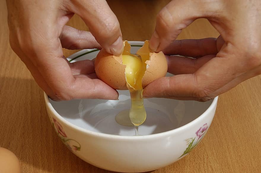 can dogs eat raw egg