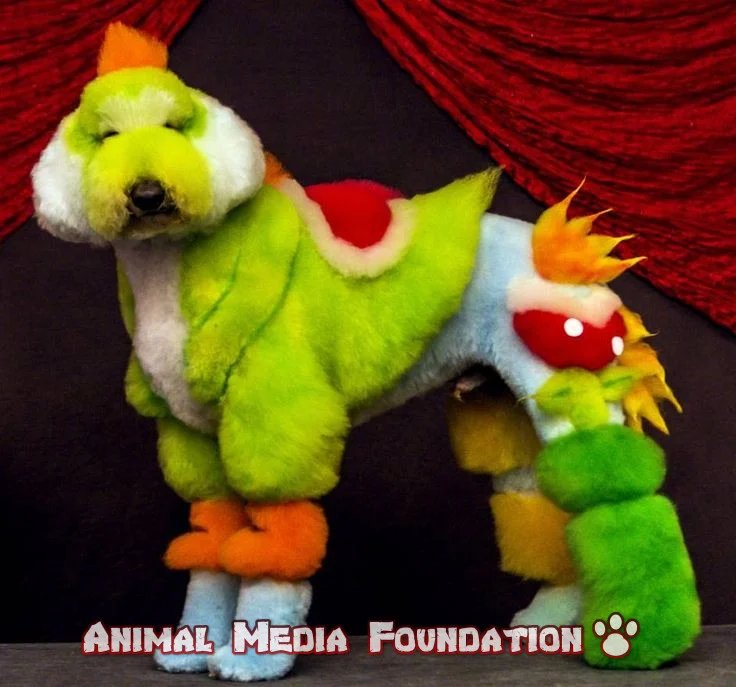 Creative grooming for pets