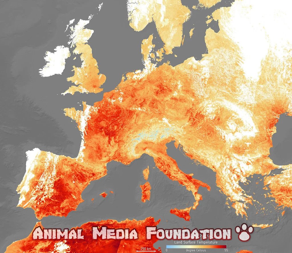 2022 is the hottest year ever in Italy