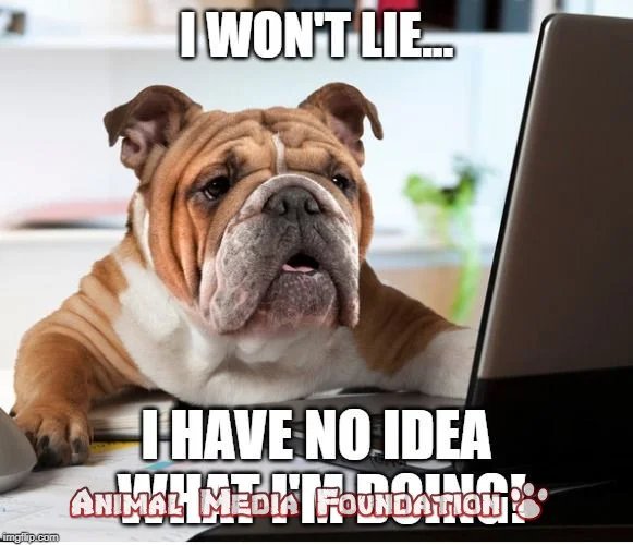 What are the funniest bulldog memes?