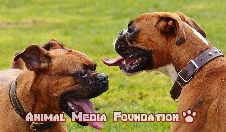 How are dog charms made?