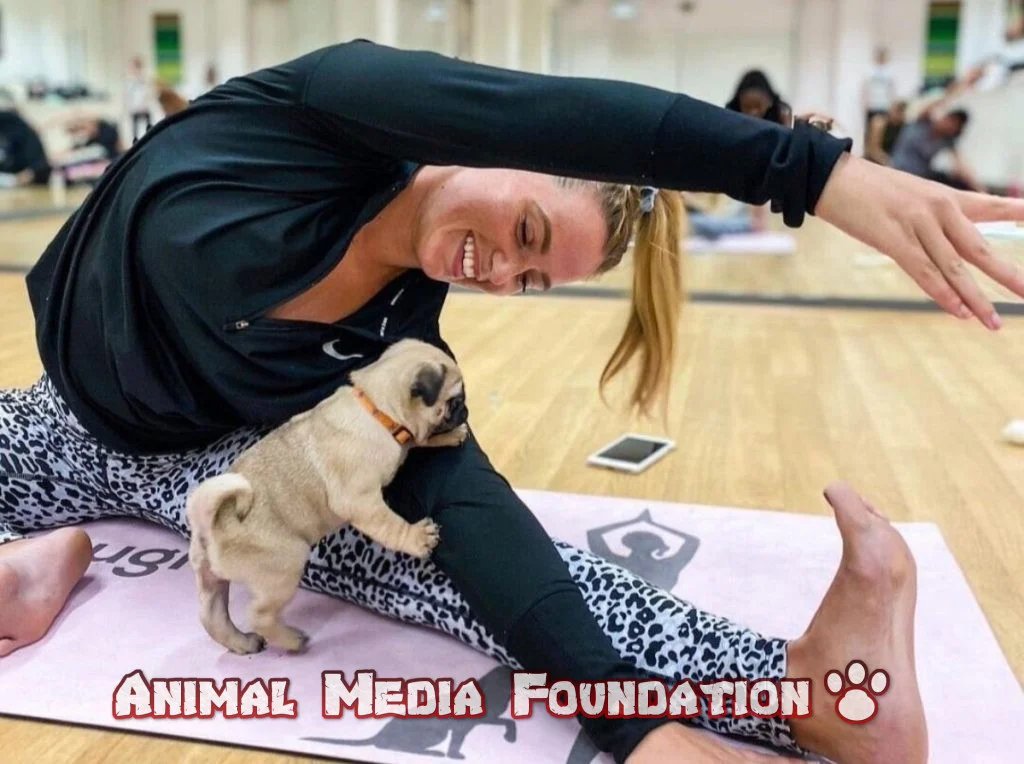 puppy yoga