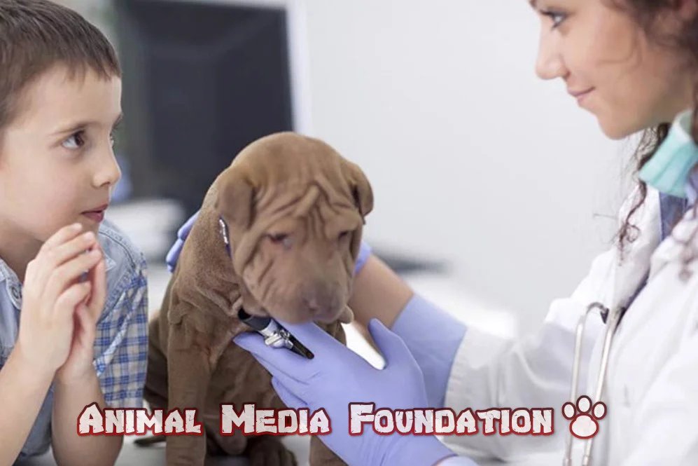 Is a fecal test for dogs necessary?