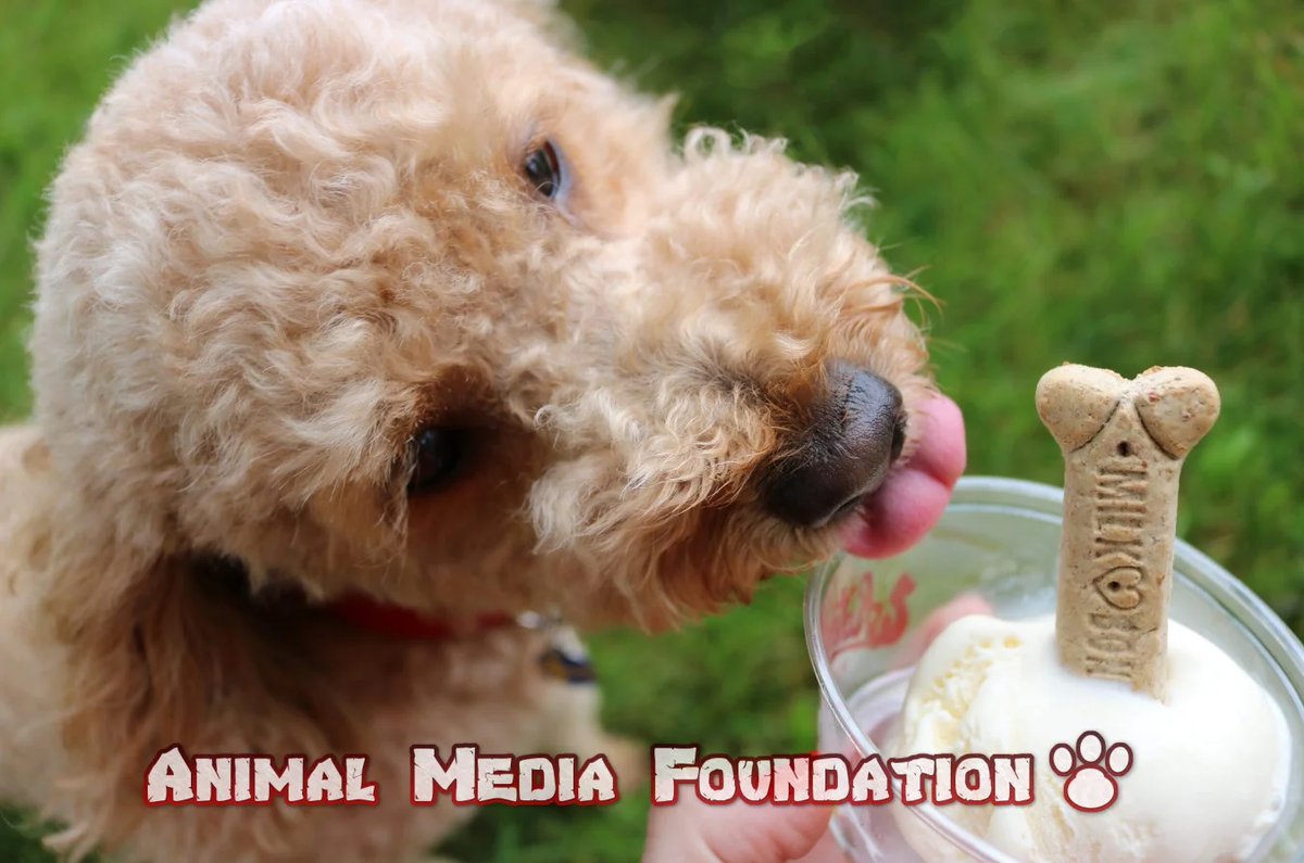 Is the pup in the cup?