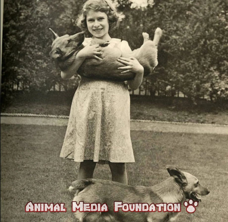 Queen Elizabeth was not an animal lover