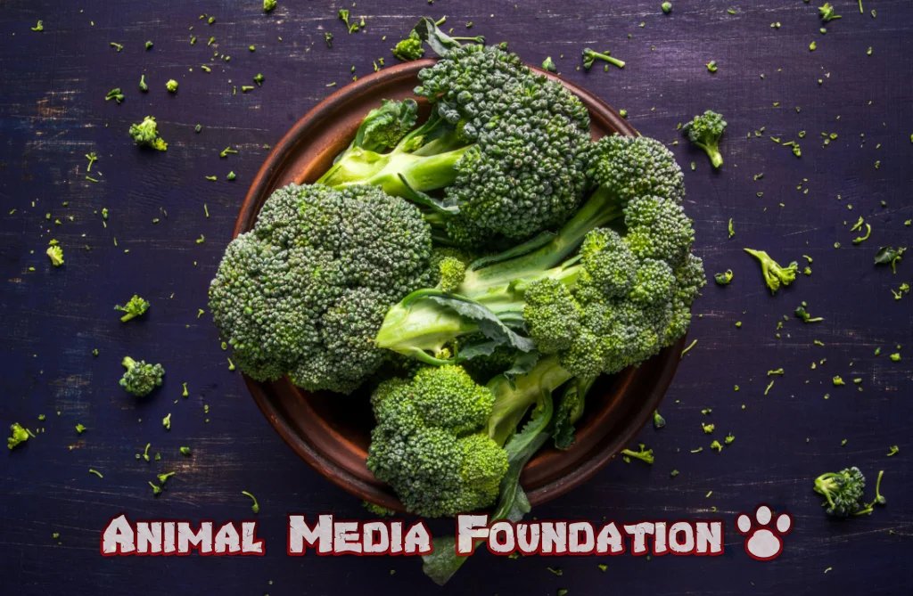 Dark Side of Broccoli