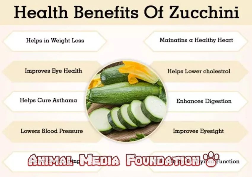 Dark Side of Zucchini