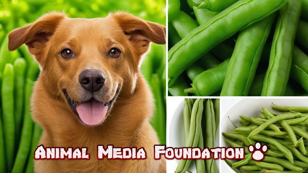 Can Dogs Eat Green Beans