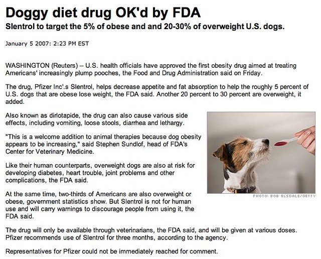 diet for dogs with diarrhea