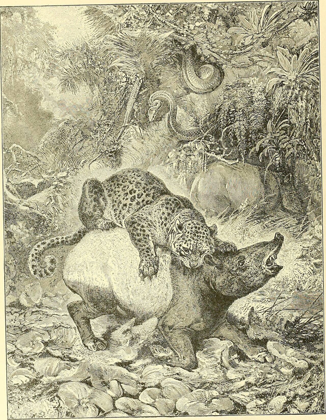 Why Do Tapirs Have Weird Trunks? The Jungle Truth