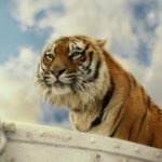 ” Life Of Pi” Tiger Trainer Charged With Animal Cruelty After Undercover Video Surfaced