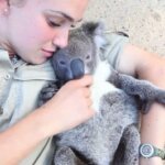WATCH: Amazing Bond Between Harry The Koala And His Caretaker Goes Viral
