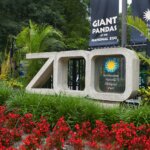How to Get Discounted Tickets to the Smithsonian’s National Zoo