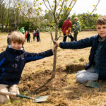 We at the Woodland trust are so excited to plant 50 million trees by 2025