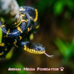 The Mangrove Snake: A Deadly Reptile You Don’t Want To Encounter