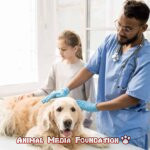 dogs with kidney disease