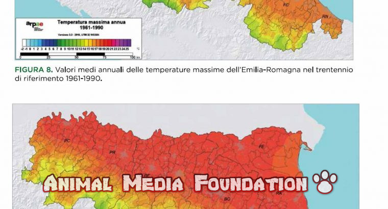 climate changes, Escherichia coli in Emilia Romagna