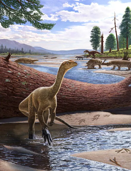 1662050851 3 235 million year old dinosaur fossil discovered it is the oldest in Africa