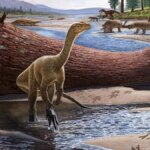 235-million-year-old dinosaur fossil discovered: it is the oldest in Africa