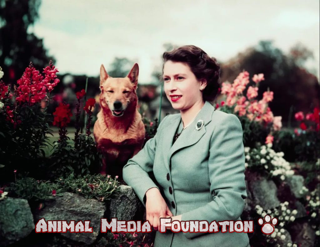 Queen Elizabeth was not an animal lover