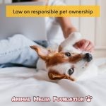 Who Owns Your Pets: You or the Government?